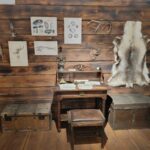 9c0d60c8-4bc2-48b5-938b-69e2dcef4289_1020x768