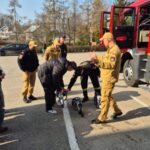 WhatsApp Image 2026-03-19 at 16.42.32 (1)_450x600