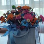 Oplus_1179648