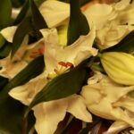 IMG_2127_1024x683